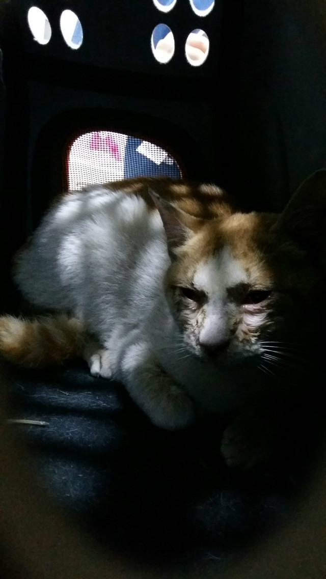 20160430_140239.jpg