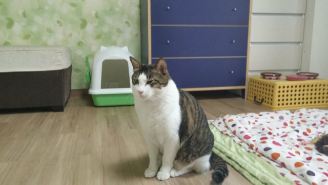 KakaoTalk_20160530_172328221.jpg