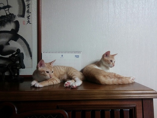 20160824_235714.jpg