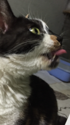 크기변환_image.png