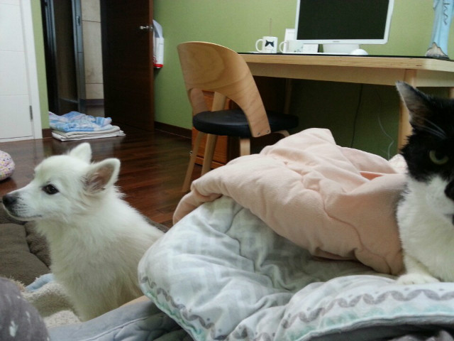 KakaoTalk_20161106_142251899.jpg