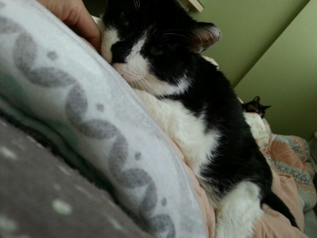 KakaoTalk_20161106_142302907.jpg
