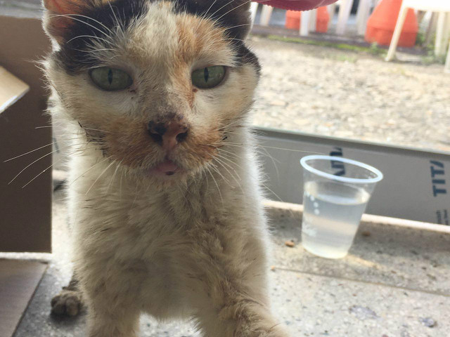 photo_2017-09-18_11-38-11.jpg