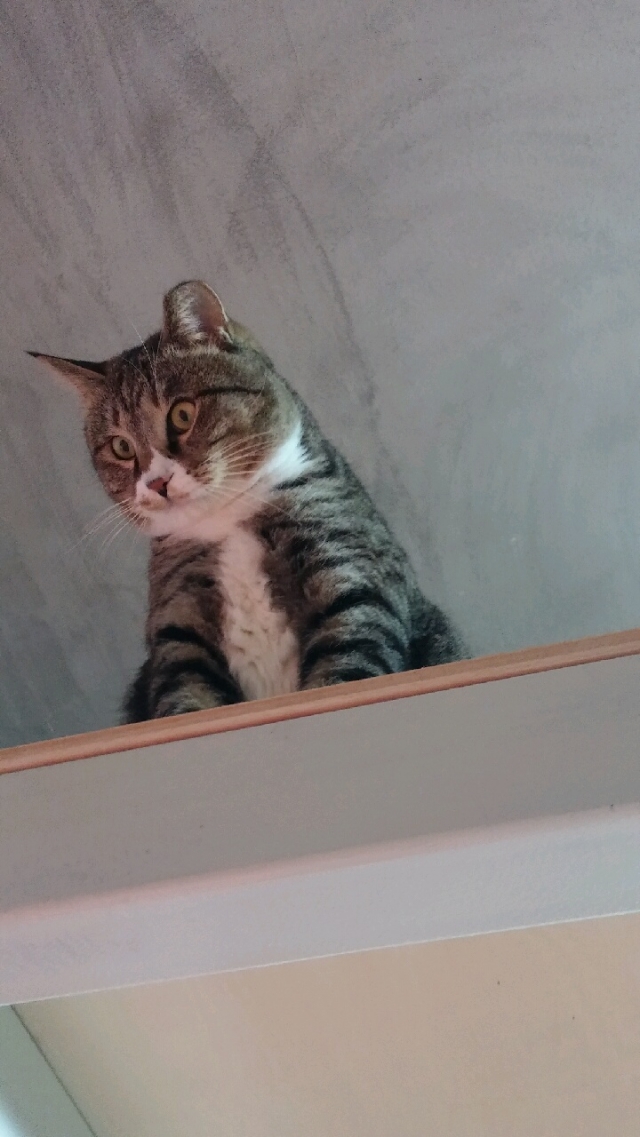 20141228_162158.jpg