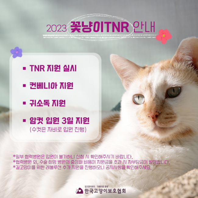 공지사항 - [마감] 길고양이들의 건강하고 행복한 묘생을 위한 '2023 꽃냥이 Tnr' 시작합니다.