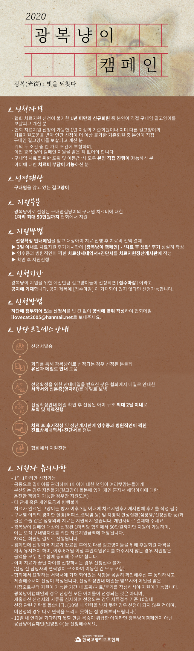 2020 광복냥이 공지.jpg