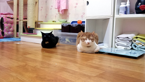 식빵2.jpg