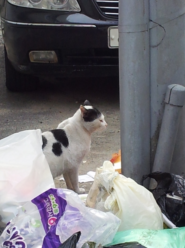 20141019_142008.jpg