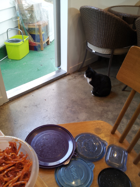 20131108_112559.jpg