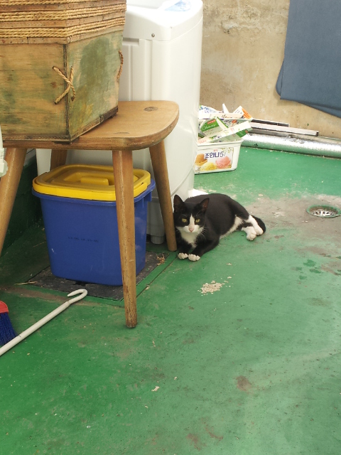 20131001_102544.jpg