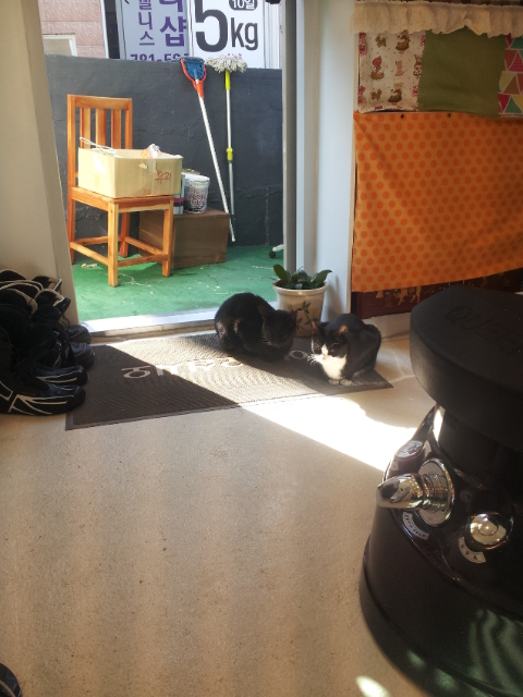 20131113_110628.jpg