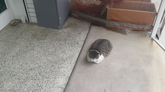 크기변환_20140412_141047.jpg