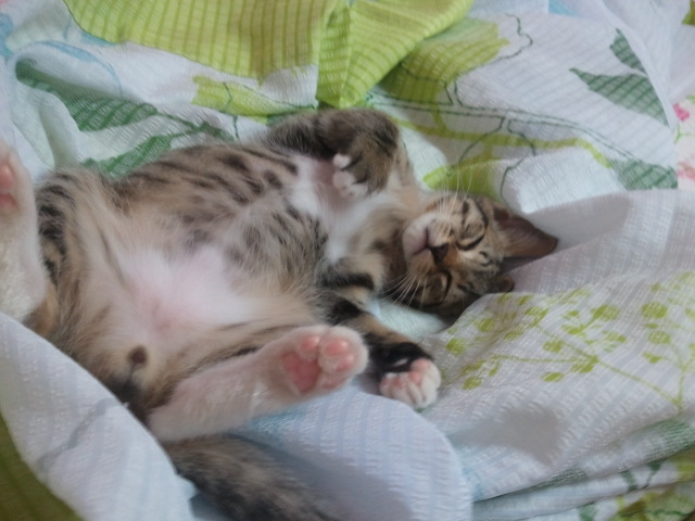 2012-07-08 00.51.37.jpg