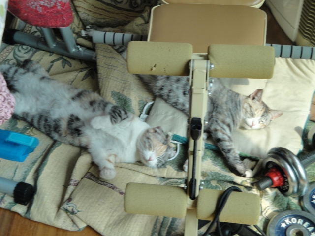 크기변환_DSC00894.JPG