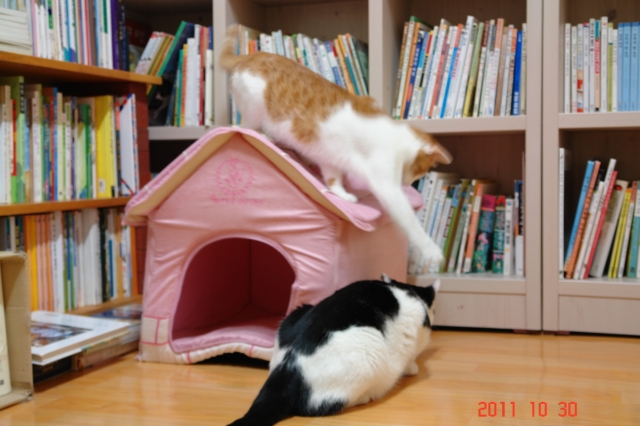 DSC03278.JPG