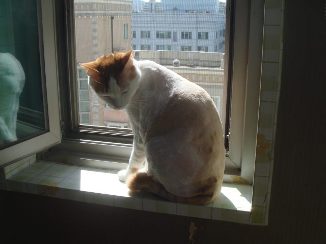 DSC06843.JPG