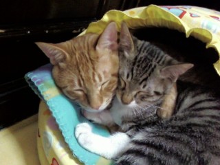 PHOTO_20.JPG