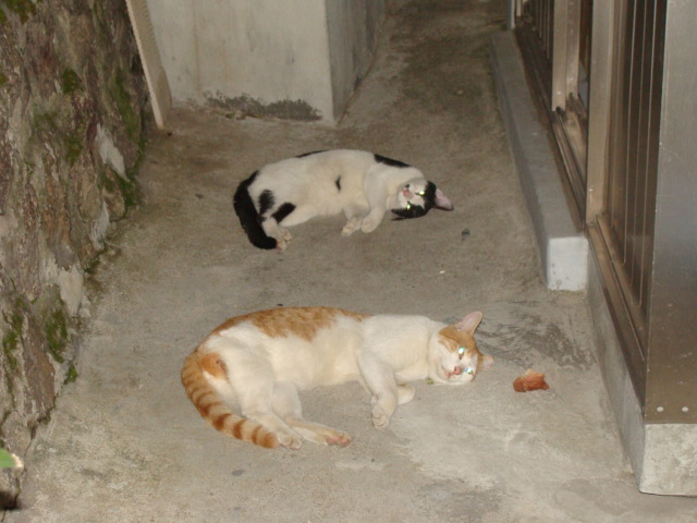 DSC02622.JPG
