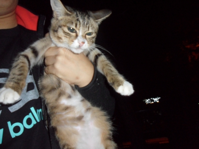 SAM_0986.JPG