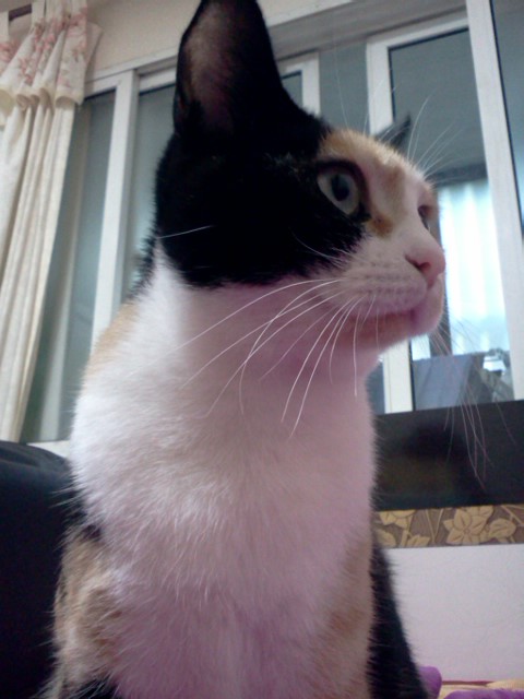 사진111007_007.jpg