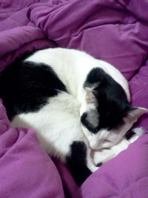 사진111007_012.jpg