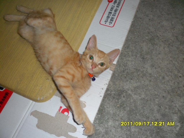 SAM_1391.JPG