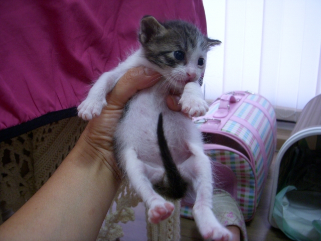 DSCN2138.JPG