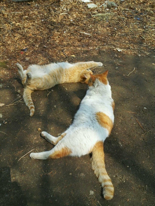 금순금동3.jpg