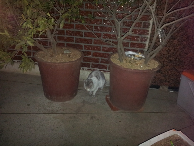 20140219_190020.jpg