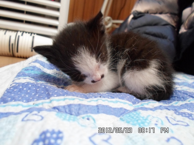 SAM_0792.jpg