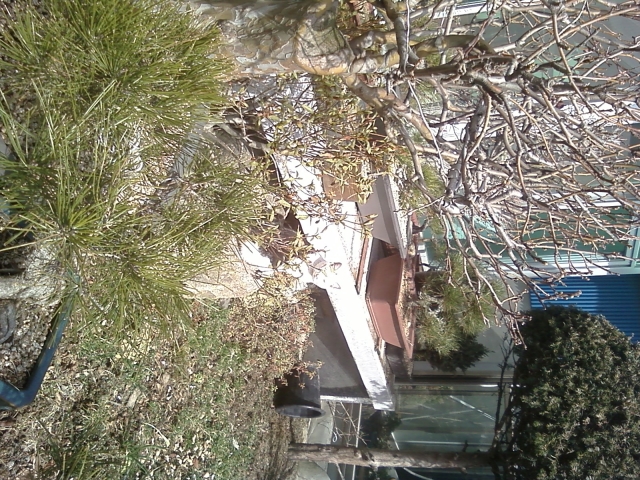 사진130301_001.jpg