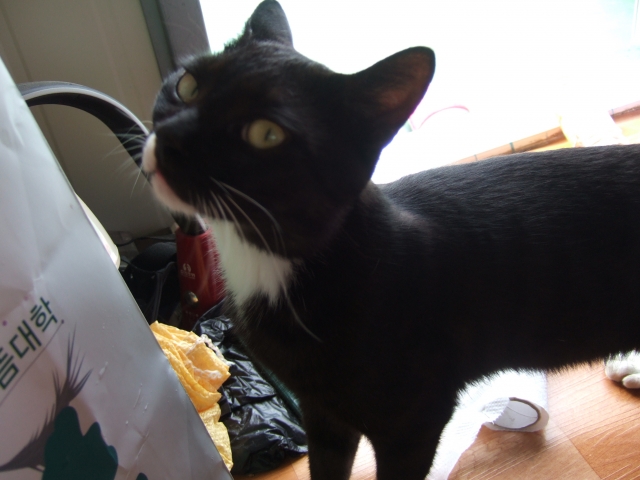 DSCF7778.JPG