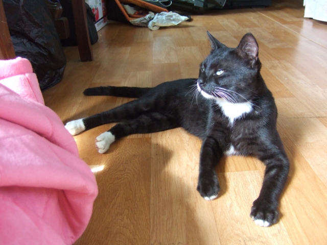 DSCF7783.JPG