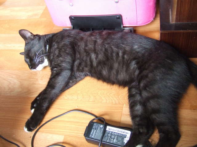 DSCF7784.JPG