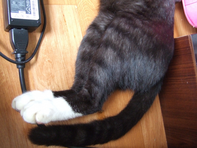 DSCF7789.JPG