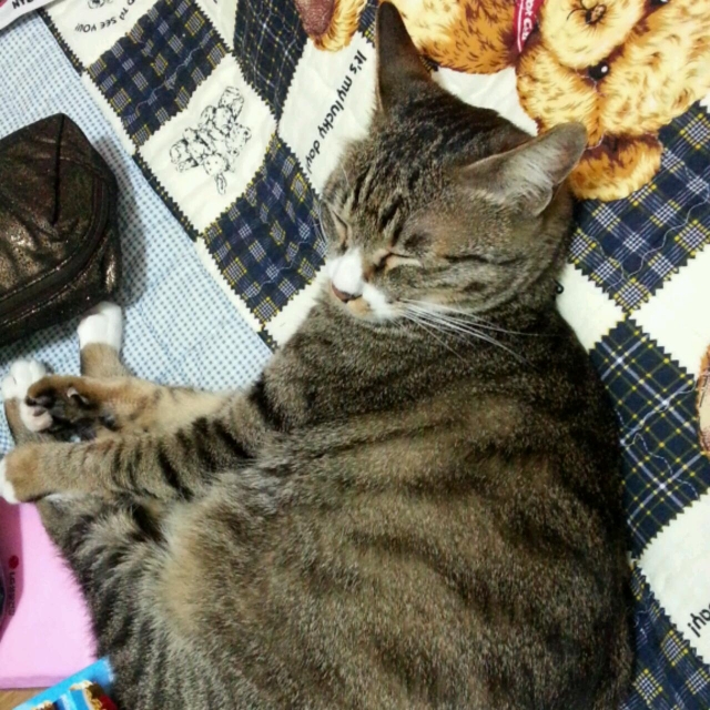 20130123_012453-1.jpg