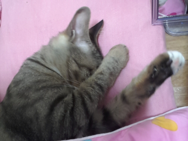 20130307_235511.jpg