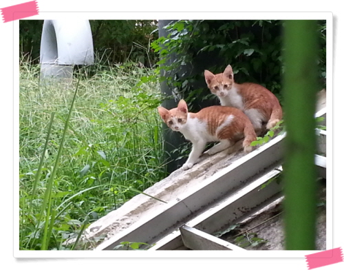 꾸미기1_20130830_162004.jpg