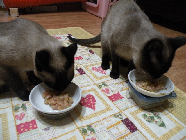 DSCN3027.JPG