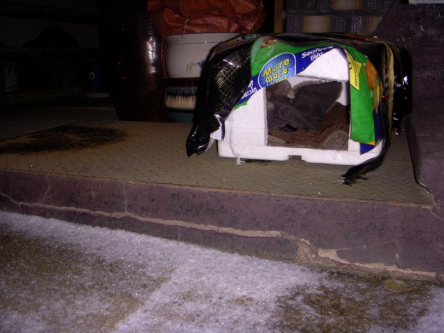 DSCN2949.JPG