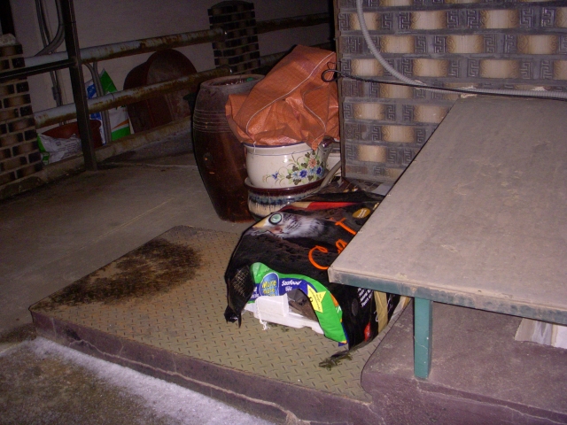 DSCN2950.JPG