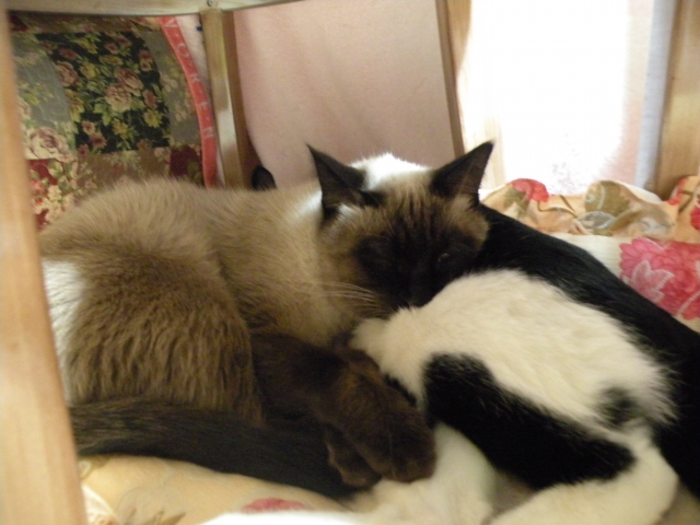 DSCN4271.JPG