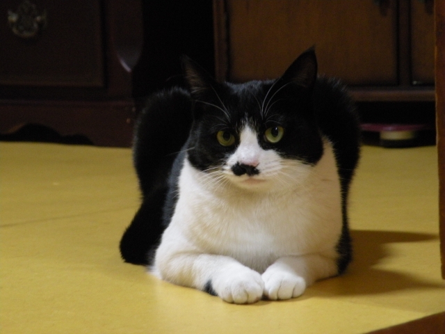 DSCN4273.JPG