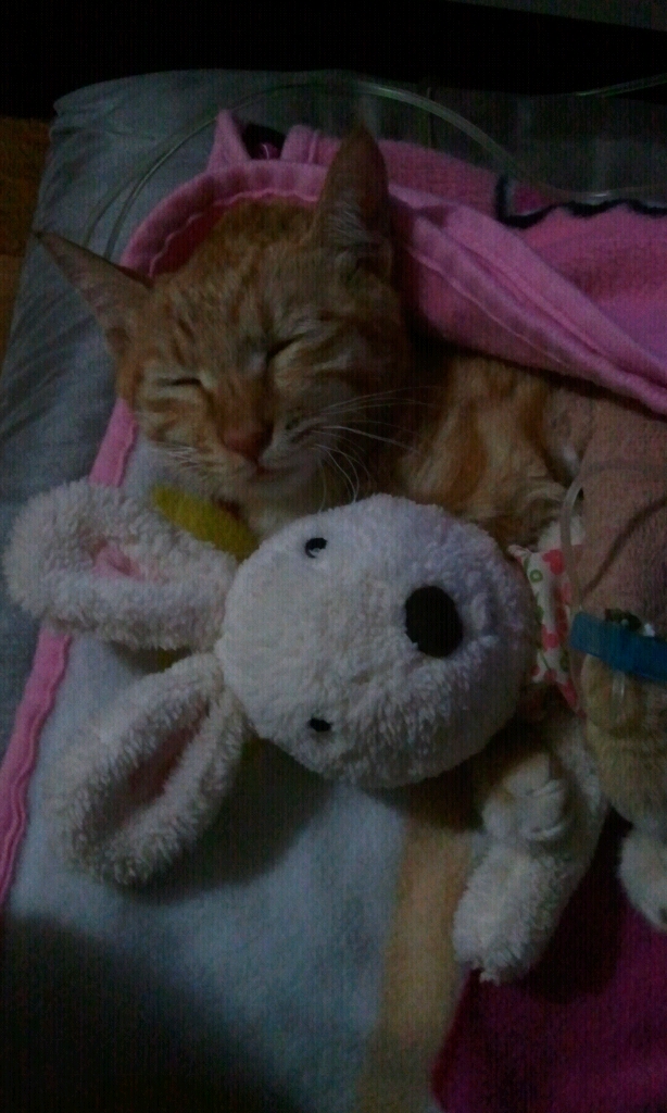 20111015010917.jpg