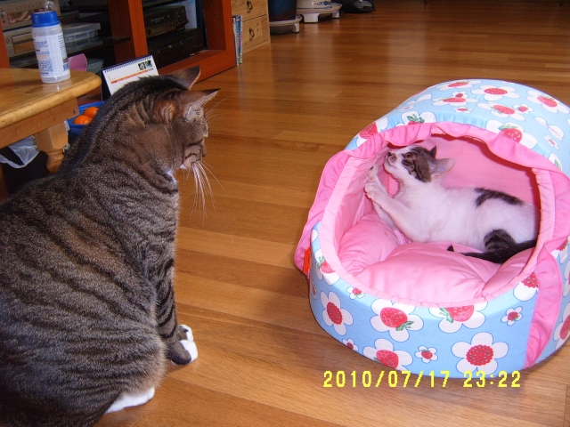 S4300100.JPG