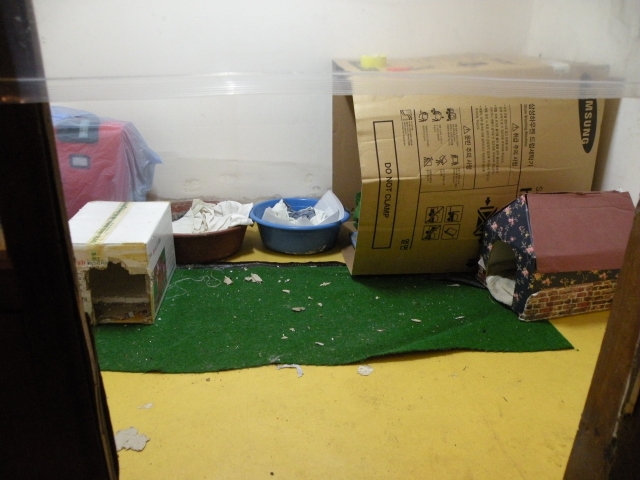 DSCN3921.JPG