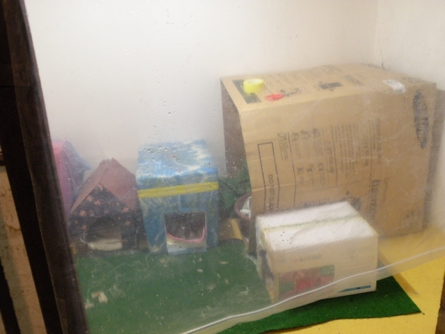 DSCN3926.JPG