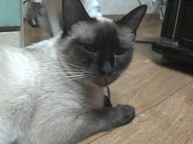 IMG262.jpg