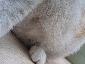 20120624_083338.jpg