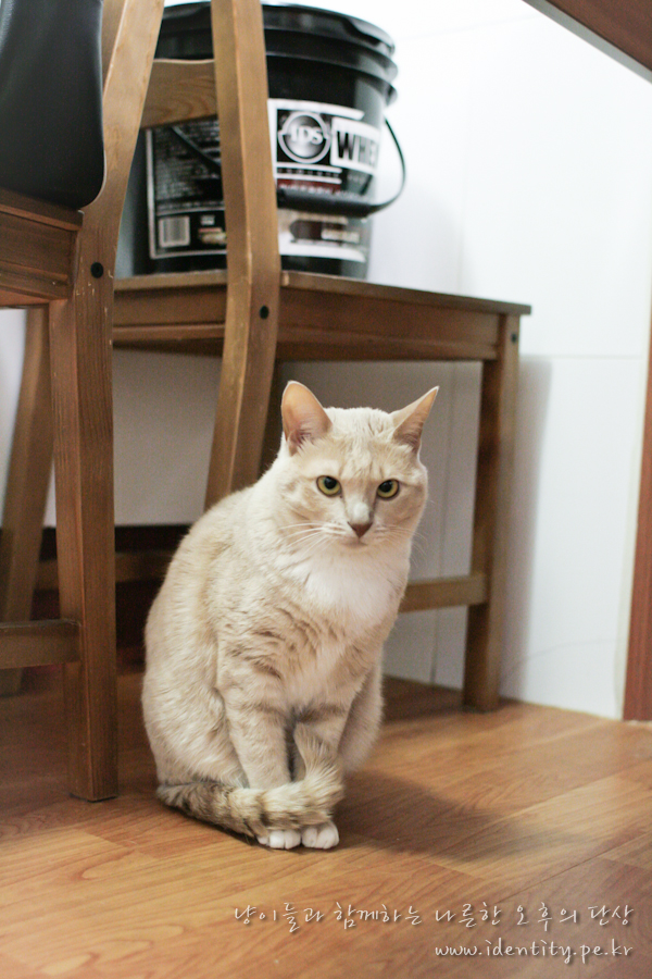 20121210-20121210-IMG_5646.jpg